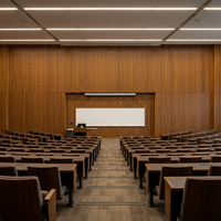 Panneaux acoustiques en lattes de bois Akupanel, panneaux muraux insonorisants pour salle de concert, opéra, scène, décoration intérieure