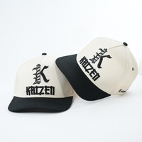 Casquettes de baseball structurées avec logo personnalisé Chapeaux de baseball à panneau dur 5 panneaux Tissu en coton avec broderie