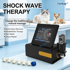 Customizable Shock Wave Magnetic Electronic Therapy Device Body <b>Massage</b> Shock Wave Therapy Equipment for pet use - Product Image 1