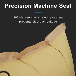 Inflatable <span class=keywords><strong>PP</strong></span> dệt giấy kraft túi chèn lót không khí cho <span class=keywords><strong>Container</strong></span> vận chuyển - Product Image 4