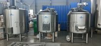 Équipement de brassage commercial pour pubs et restaurants, 200L, 300L, 500L, 600L, 800L, équipement de brasserie pour la fabrication de bière artisanale