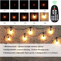 Contrôleur de variateur LED sans fil étanche IP65 avec télécommande RF, réglage de la luminosité, fonction de minuterie pour guirlandes lumineuses, 3 ans