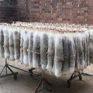 Cuello de Piel de <span class=keywords><strong>Coyote</strong></span> - Product Image 3