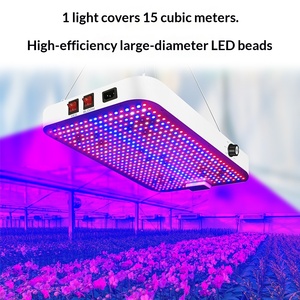 ไฟปลูกต้นไม้ LED ฟูลสเปกตรัม รุ่นใหม่ ปรับความสว่างได้หลายระดับ กำลังไฟสูง 200 วัตต์ สำหรับปลูกพืชในโรงเรือนและระบบไฮโดรโปนิกส์ - Product Image 3