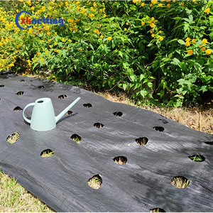 Couvre-sol de serre Tissu anti-mauvaises herbes Tapis de mauvaises herbes Paillis en plastique - Product Image 4