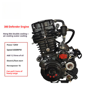 Moteur de moto [Moteur de tricycle refroidi par liquide Hanwei 300, moteur de scooter // moteur Zongshen] - Product Image 2