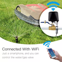 Automatisation de la maison intelligente, vanne d'eau WiFi, vanne de gaz, commande ou vanne d'eau, application Tuya, fonctionne avec Alexa ou Google Home
