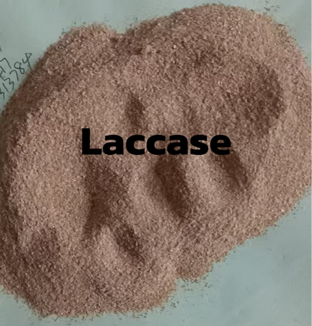 High Purity Laccase Enzyme for High Efficiency Production