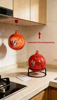 Extincteur à poudre sèche ABC fiable, 0,5 kg, 1,3 kg, 4 kg, automatique, pour la cuisine, le garage, l'hôtel, la sécurité des véhicules