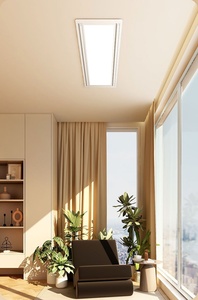 Séchoir électrique intelligent à levage automatique et éclairage intégré pour plafond suspendu, ultra-mince et invisible, avec fonction d'épaississement - Product Image 5