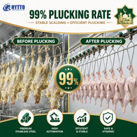 Équipement d'abattage halal CE, ligne d'abattage de volailles, ligne d'abattage de poulets, projet clé en main, ligne de traitement 3000-15000BPH
