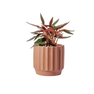Pots de fleurs en argile, jardinière moyenne, récipients de fleurs, Pots décoratifs modernes en terre brute - Product Image 1