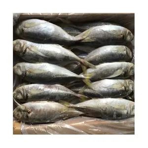 China export all size Whole Round Big Eye Round Scad Frozen Horse Mackerel Fish