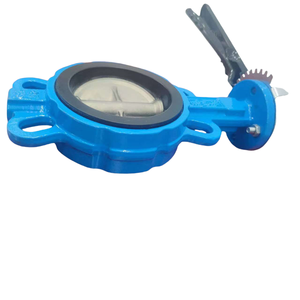 Venta al por mayor OEM DN50 Cuerpo de hierro dúctil tipo manual con revestimiento de flúor - Product Image 4