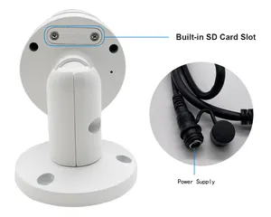 Outdoor H.265 6MP Built-in Mic Starlight Camera OEM Full Time Color POE Colorvu Ip Camera Work With Hik NVR By Plug Play