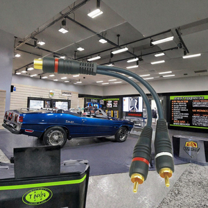 Dajiang สายแยกสัญญาณเสียง <span class=keywords><strong>RCA</strong></span> ตัวเมียไปยังตัวผู้ขั้วต่อสีทอง1ถึง2 <span class=keywords><strong>RCA</strong></span> มีตัวแปลงสัญญาณสเตอริโอแบบหุ้มฉนวน - Product Image 3