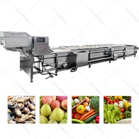 Tomaat Aardappelwortel Gember Groente Waslijn Fruit En Groente Wassen Drogen Mango Fruit Reinigingsmachine