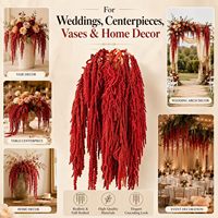 Amaranthus Gantung Kualitas A, Awet, Grosir, untuk Rangkaian Bunga DIY, Dekorasi Pernikahan, Kotak Kustom