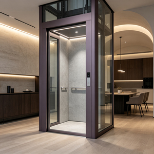 Ascensor Doméstico Pequeño en Oferta, para Viviendas de 2 a 6 Pisos, Diseño Moderno, Fácil Instalación, para Uso Residencial - Product Image 3