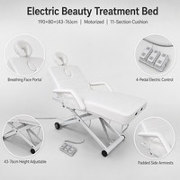 Table de massage électrique motorisée pour soins esthétiques avec repose-visage, 190x80cm, hauteur réglable 43-76cm, pour salon de beauté