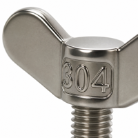 Tengri 304 Stainless Steel Wing Nut Butterfly Hand Tighten Fastener for Equipment Panel Fixtures Wholesale Supply