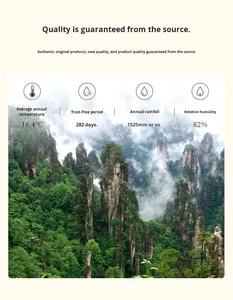 張家界長寿茶園は、独特の珪砂岩の丘の景観を備えた世界自然遺産です。 - Product Image 4