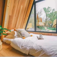 Kit de cabine de camping préfabriqué en bois à cadre préfabriqué Home New Style Triangle Resort Holiday Beautiful Tree House