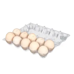 Grand plateau à œufs de poulet en plastique 12 cellules pour supermarché aliments jetables Transparent prix bon marché PET/PVC/PP