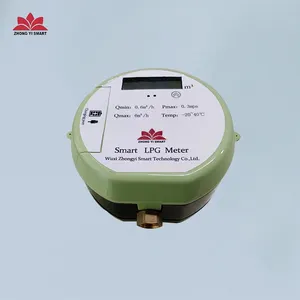 Lpg Cylinder Gas Meter / LPG Gas Meter Used For Steel Cylinder With GPS