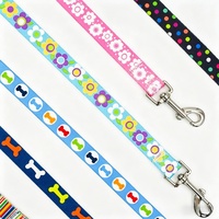 Animal Chien Accessoires Fournitures Nylon Luxe Entraînement Chat Chien Collier et Laisse Set Ceinture de guidage pour chiens