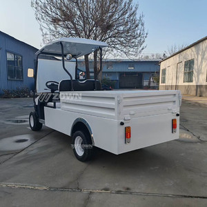 Carrito de Golf Eléctrico de 2 Plazas con Caja de Carga, Vehículo Utilitario con Batería de Litio de 48V, Buggy para Granja, Resort o Parque, Venta Caliente 2026 - Product Image 3