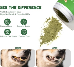 Poudre probiotique pour animaux de compagnie ODM/OEM, complément alimentaire pour la santé digestive des chiens et des chats, soutien pour un intestin sain - Product Image 2