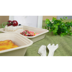 Nhà máy tùy chỉnh bữa ăn tối tấm bã mía Khay giấy phân hủy Bộ Đồ Ăn 10 inch vuông Wedding <span class=keywords><strong>party</strong></span> tấm dùng một lần thiết lập - Product Image 4