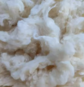 Huesca de Algodón Limpia y Blanqueada para Hilos OE, Origen Vietnam, 100% Algodón con Color Natural, 8mm - 20mm, Blanco Blanqueado - Product Image 5