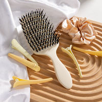 Coffret Cadeau d'Accessoires de Coiffure Professionnels : Brosse Démêlante à Poils de Sanglier Ventilée avec Pinces à Cheveux et Élastiques