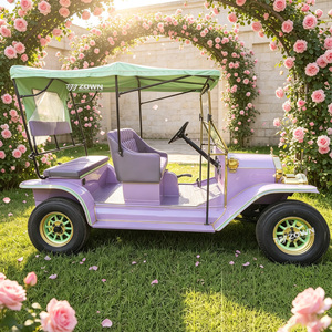 Voiture de tourisme électrique à basse vitesse de style vintage artistique pour l'accueil des touristes et des clients de centres de villégiature - Product Image 1