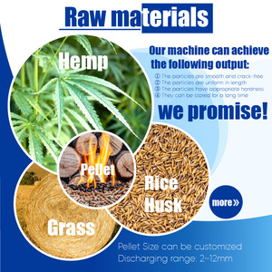 Richi 2 TPH Napier cỏ sinh khối PELLET máy tùy chỉnh máy sấy cỏ pelletizing máy - Product Image 2