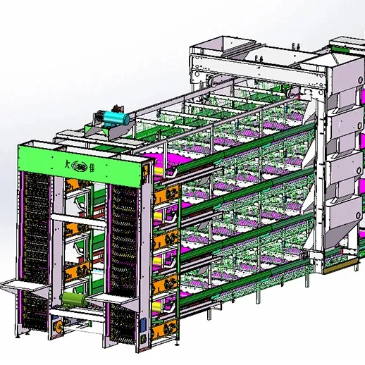 Tbb Pluimveebedrijf H Type Batterijlaag Eieren Kippenlegkippen Kippenhok