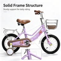 Vélo pour enfants rose de haute qualité, durable, avec roues d'apprentissage et porte-bagages arrière, vente directe d'usine professionnelle, pour l'exportation