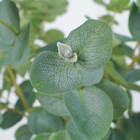 Vente en gros usine – Tiges d'eucalyptus artificielles, feuilles d'eucalyptus 'Silver Dollar' au toucher réel pour bouquets de mariage et arrangements floraux domestiques