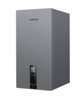 Chauffe-eau à gaz Loburton pour hôpitaux et cliniques, 99 kW, réservoir en acier inoxydable, chauffe-eau commercial et domestique au gaz naturel