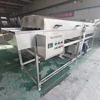 YOUBAN Industriële Borstelwasmachine Automatische Wortelgroentereiniger Cassave Gember Aardappel Wortel Was- en Schilapparatuur