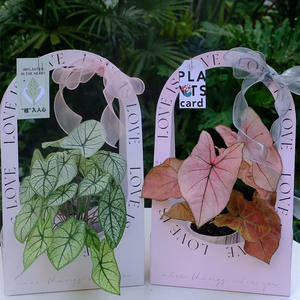 Cajas de embalaje de bolsos de flores portátiles de gran oferta para el Día de San Valentín Cajas de papel elegantes para floristerías - Product Image 4