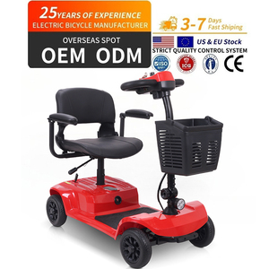 Monopattino Elettrico Pieghevole Seedream X-02 LUCAS PRO 12V 24AH 300W con Cestino e Bracciolo per Mobilità Urbana, Spedizione UE - Product Image 2