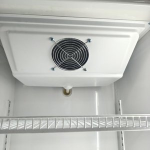 Équipement de réfrigération commercial à porte vitrée : refroidisseur de boissons, congélateur à glace et congélateur de présentation profond - Product Image 2