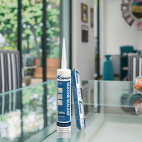 Scellant acrylique neutre résistant aux intempéries SJ-168, ignifuge, imperméable, transparent comme du cristal, certifié ISO9001 pour adhésifs et mastics