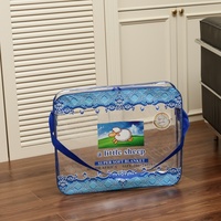 Sacs à cordon en PVC transparent réutilisables, vêtements, chaussettes, couette, rangement, épaisseur personnalisable, imperméable, sécurité, fourrure