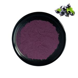 ブラックカラント果実エキスブラックカラントエキス25% アントシアニン粉末 - Product Image 1