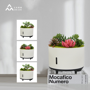 Humidificador con Aroma de Plantas, Difusor de Aceites Esenciales Ultrasónico de 200 ml con Control Remoto para el Hogar y la Oficina - Product Image 2