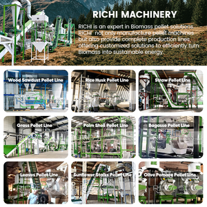Machine à granulés de biomasse RICHI - Certification CE 75 kW - Machine à granulés de paille et de balles de riz - <span class=keywords><strong>Prix</strong></span> - Product Image 6